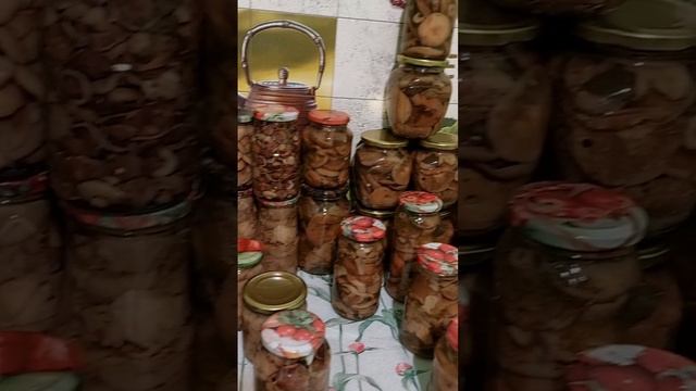 Грибы. смотреть онлайн
