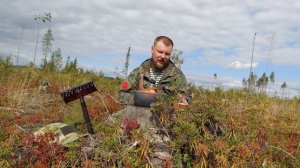 ЗАРАБОТАТЬ НА ЯГОДАХ. ШЕСТИЛАПЫЕ ТВАРИ АТАКУЮТ. СБОР ЧЕРНИКИ НА ОПАСНЫХ ВЫРУБКАХ. КОНКУРЕНТЫ КРУГОМ