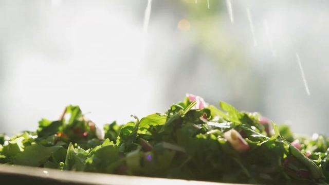 Здесь живет пятница! смотреть онлайн