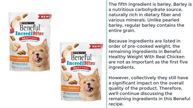 Purina Beneful Healthy Weight with Real Chicken Adult Dry Dog Food Review смотреть онлайн