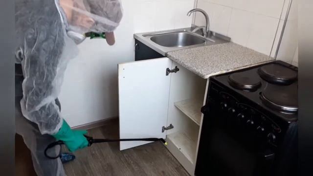 Избавляем Вас от насекомых|| Дезинсектор Иркутска смотреть онлайн