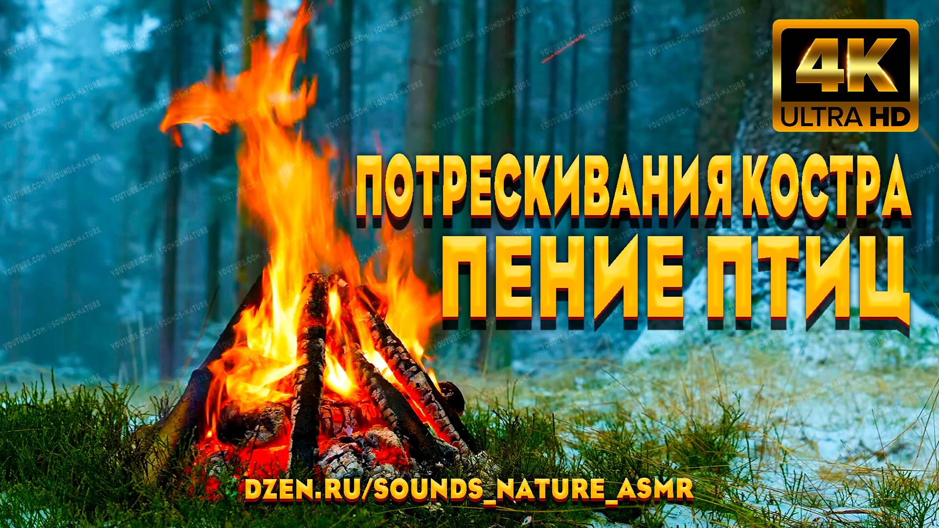 Звуки Потрескивания Костра И Пение Птиц В Зимнем Лесу - Для Расслабления И Хорошего Сна. смотреть онлайн