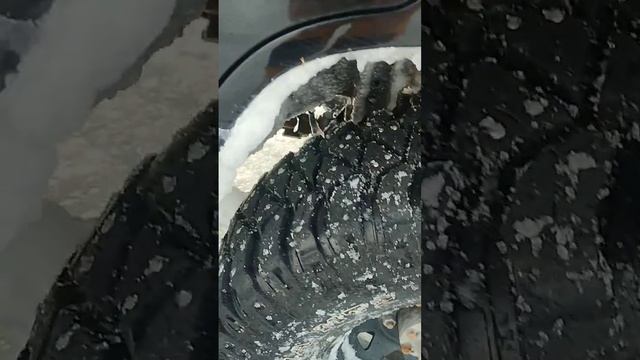 Заехали в +1° а выезжать в -10° Резкий перепад погоды на Рыбалке! Всё обледенело! #судакнавибы смотреть онлайн