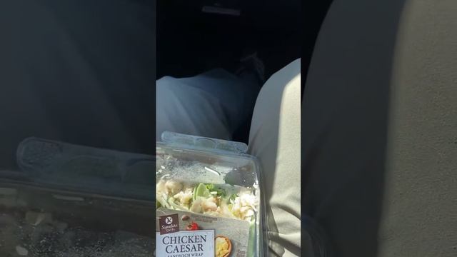 Быстрый обзор на рол с индюшкой смотреть онлайн