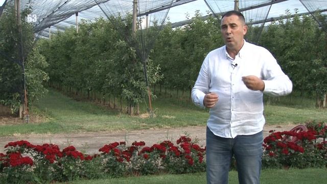 AKARICID ključan za proizvodnju u jabučastom voću protiv pauka grinja KANEMITE смотреть онлайн
