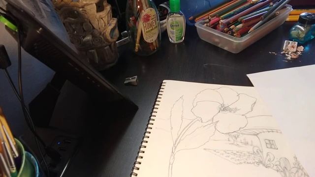 6th Grade Fairy Garden Adding Color