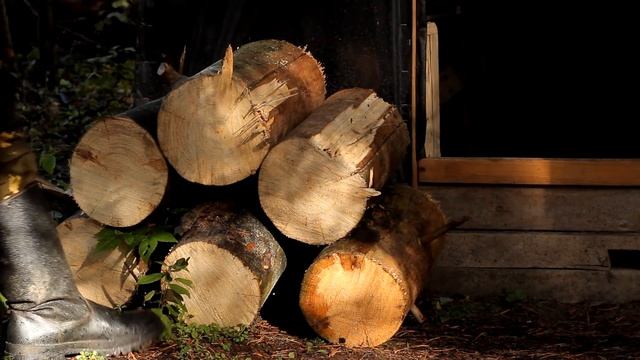 балаган,бензопила,чаёк смотреть онлайн