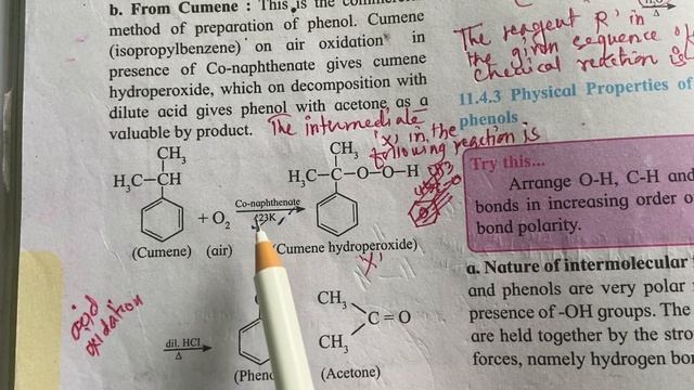Quick revision of Alcohols,Phenols and Ethers смотреть онлайн