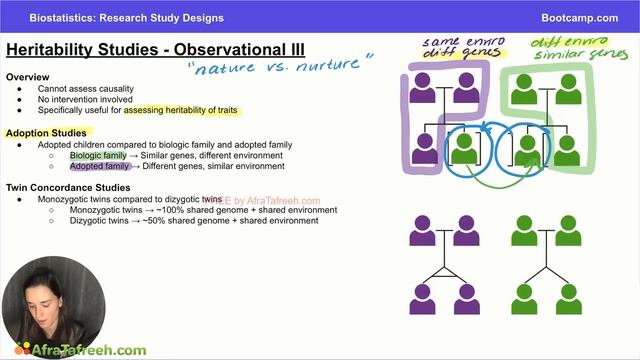 3.5 Heritability Studies atf смотреть онлайн