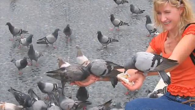 OUR WONDERFUL WORLD (FL Studio) - Tina Russian