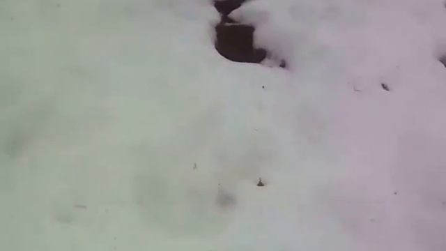 ⬛БАЛОВАЛИСЬ С ДРУЗЬЯ.ЗАЦЕП(СЕМЁМ СОРВАЛСЯ В ВОДУ)⬛ смотреть онлайн