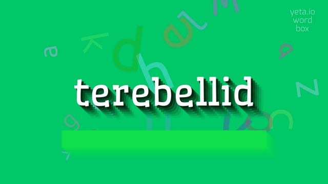 TEREBELLID - HOW TO PRONOUNCE IT? #terebellid смотреть онлайн