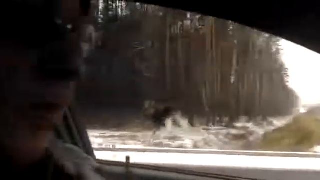 Вот это поворот. Птичное Верховье.