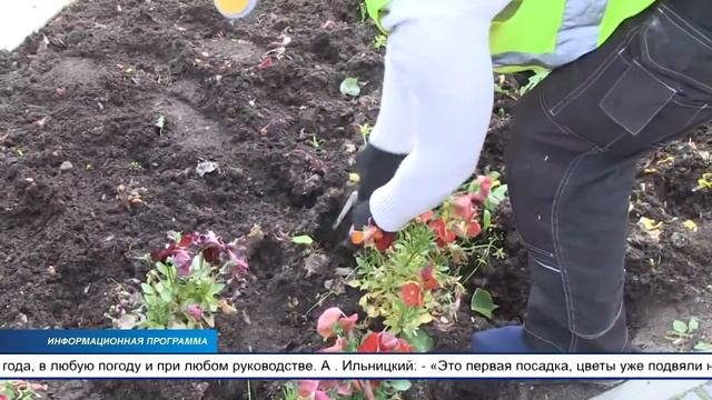 В Йыхви идёт плановая замена цветов смотреть онлайн