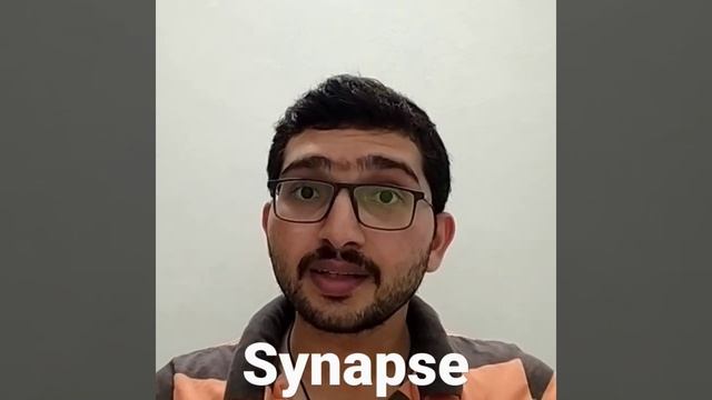 #synapse #biology смотреть онлайн
