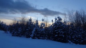 🔴Перевал Дятлова. Настил, Лабаз, Катпос, Чум. - Опровергаем мифы 🔴