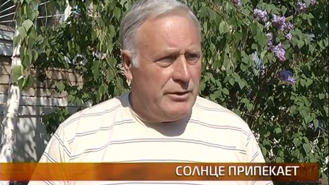 Аномальная жара смотреть онлайн