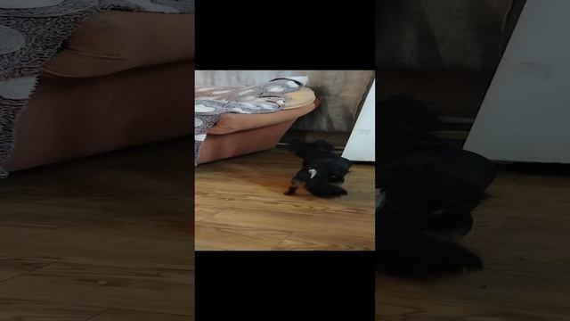 Юша, кто там?