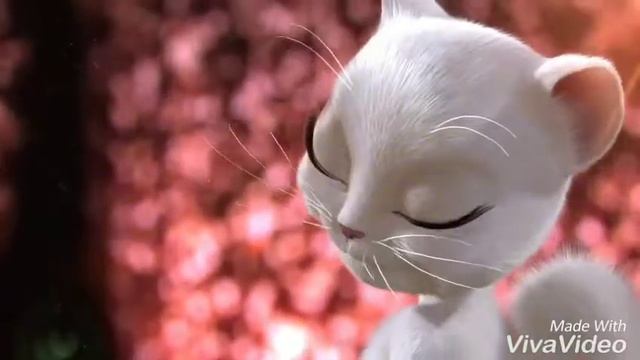 Tom cat version (Senorita) смотреть онлайн