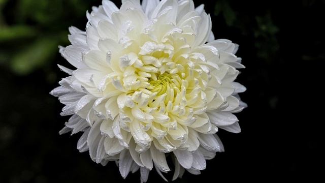 Псалом Давида 76. смотреть онлайн