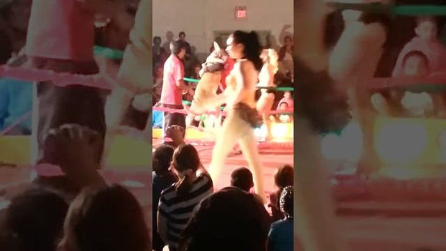 Kangaroo indoor circus смотреть онлайн