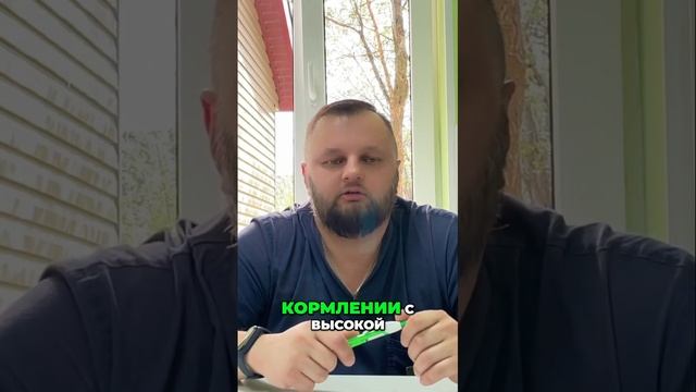 Как распознать и предотвратить перекрут желудка у собак смотреть онлайн