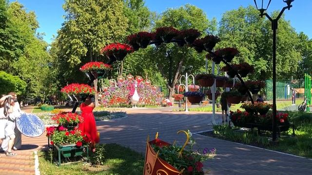 ПАВЛИН с театральной площади ПЕРЕЛЕТЕЛ В ДЕТСКИЙ ПАРК НА ПЕРЕКАЛЬСКОГО. Кормите Птиц смотреть онлайн