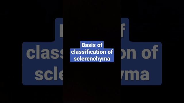 Basis of classification of sclerenchyma смотреть онлайн
