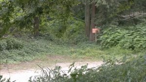 Ты прекрасен 1 сезон 4 серия