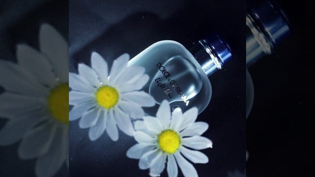 Dolce & Gabbana Light Blue Pour Homme Aftershave | Perfume Direct смотреть онлайн