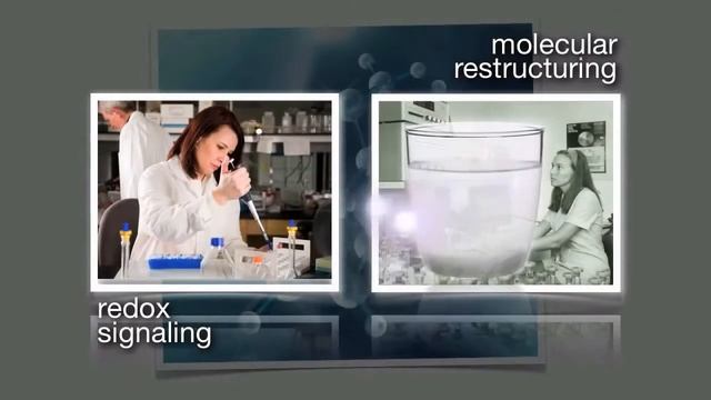 ASEA Redox Signaling products now in Singapore смотреть онлайн