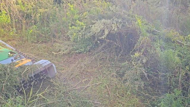 Новогодняя смотреть онлайн