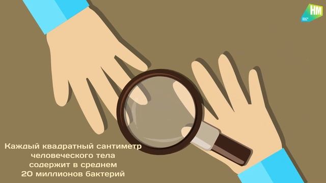 Бактерии смотреть онлайн
