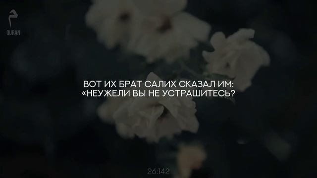 Шейх Ясир ад-Даусари. Сура «Поэты» 68-212. Чтение Корана смотреть онлайн