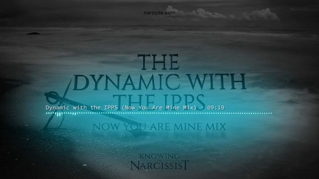 The Dynamic With The Intimate Partner Primary Source