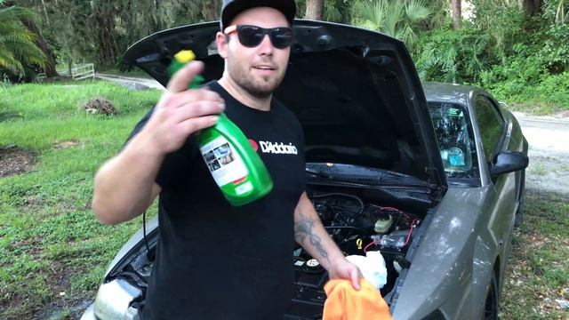 new edge mustang gt fresh and clean engine bay смотреть онлайн