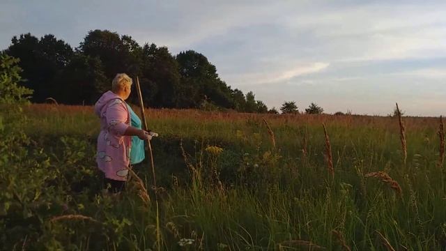 Едим за подкормкой кроликам.Долгожданные гости😘😘😘 смотреть онлайн