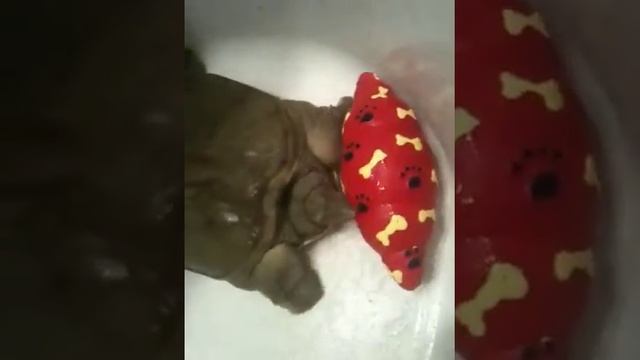 Трионикс смотреть онлайн