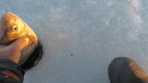 Ловля подлеща на ВЕДЬМУ.Первая рыбалка на Рузе.ч.2