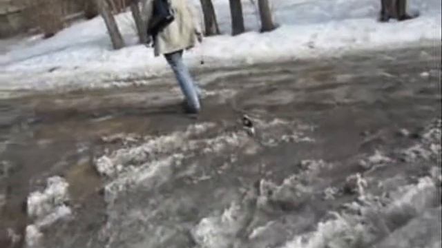 Энциклопедия жизненного пути. Домашние животные смотреть онлайн