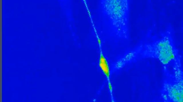 Triboelectric nanogenerator cell reprogramming [2/4] смотреть онлайн