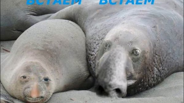 ГЛАД ВАЛАКАС - ВСТАЕМ (+ ПЕНА)