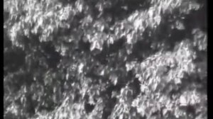 Методы содержания и разведения пчел ч. 1. Таранов Г.Ф. Сделано в СССР!