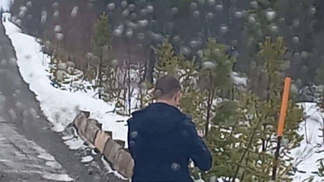 лиса Дима смотреть онлайн