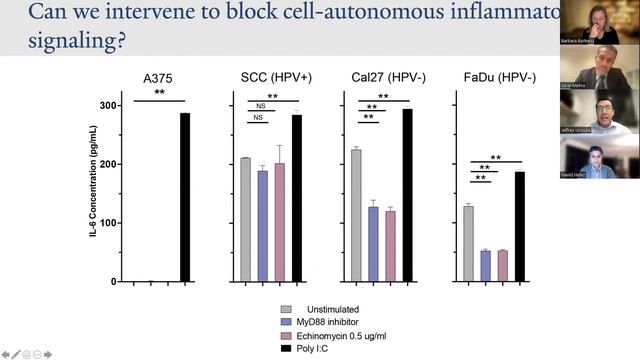Head & Neck Cancers CME Series: "Immunotherapy and Novel Treatment Options for Head & Neck Cancers" смотреть онлайн