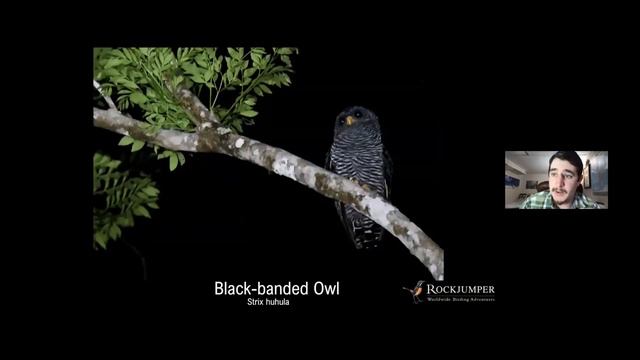 Guyana with Lev Frid смотреть онлайн