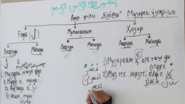 Amsila kitobi. 13-dars Amr g'oib va Amr Hozir fe'llari #sarf #ilm #najot #arabcha смотреть онлайн