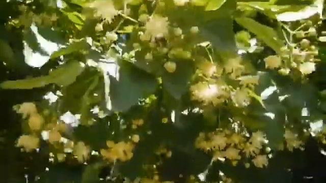 Ирина Отиева – Двое смотреть онлайн