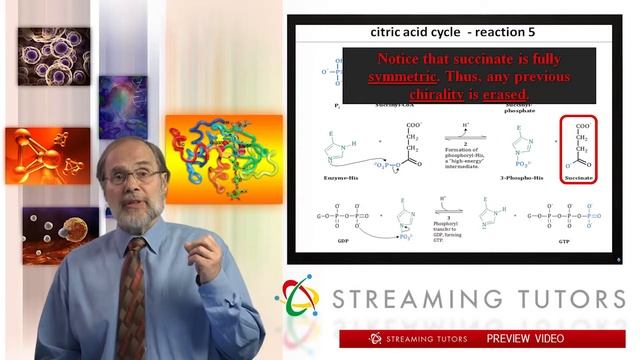 Biochemistry Citric Acid Cycle 2 tutorial смотреть онлайн
