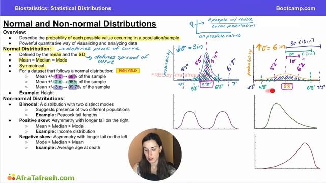 5.3 Normal and Non-normal Distributions atf смотреть онлайн